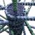 The Growing Appeal of Subscription-Based Business Technology